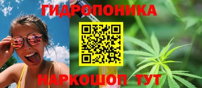 крисы Аргун